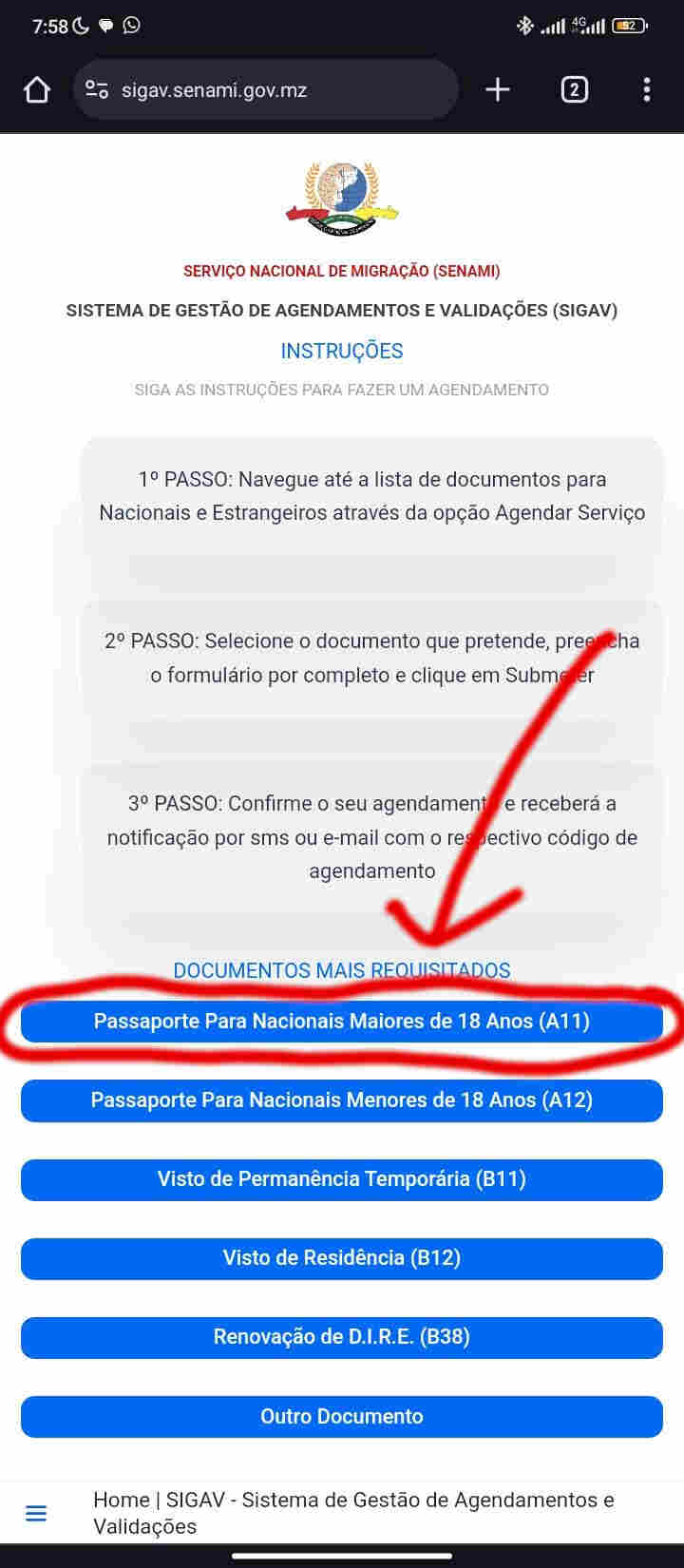 Na secção de Documentos Requisitados escolher o tipo de passaporte..