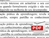 Ficha Anual de Avaliação de Pessoal Docente - Scan Original/Pdf 