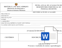 Ficha de Avaliação Anual de Pessoal Docente